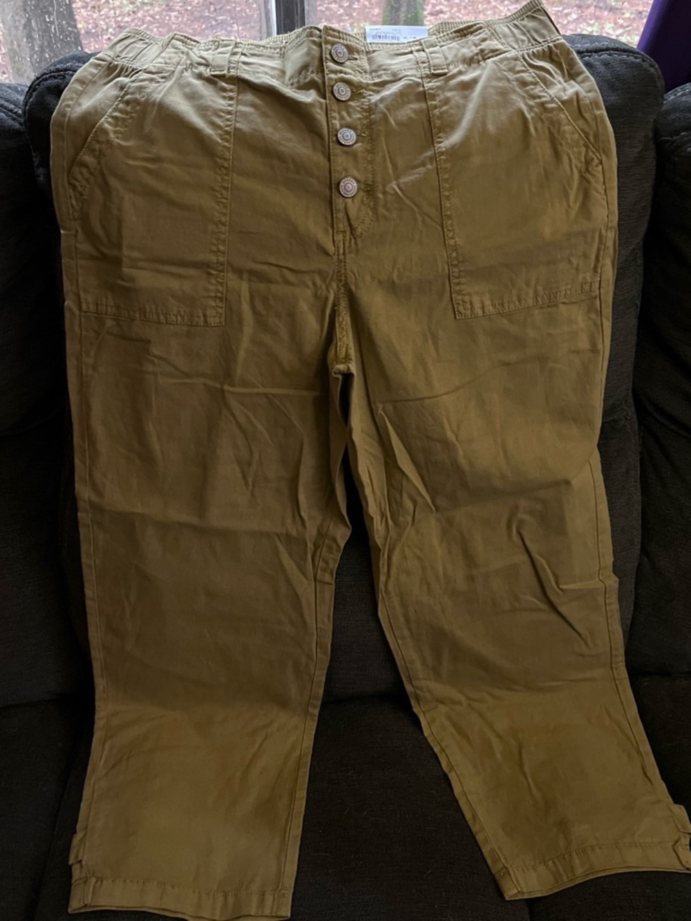 Sonoma Olive Green Button-Fly Chinos